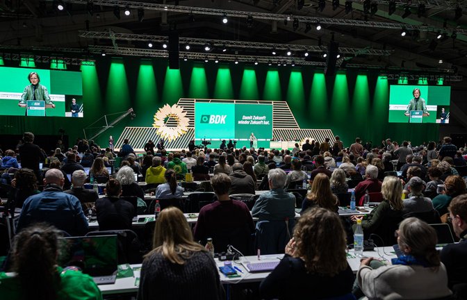Die Grünen stimmten gegen den bislang bestehenden Kompromissvorschlag.<span class='image-autor'>Foto: Moritz Frankenberg/dpa</span>