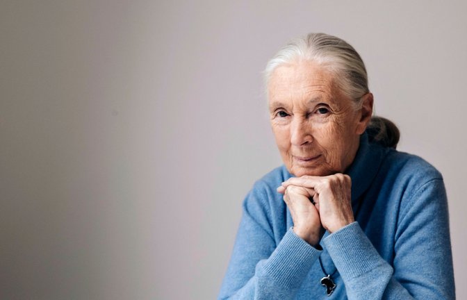 Die berühmte Schimpansenforscherin Jane Goodall ist im Alter von 91 Jahren gestorben. (Archivbild)<span class='image-autor'>Foto: Victoria Will/Invision/AP/dpa</span>