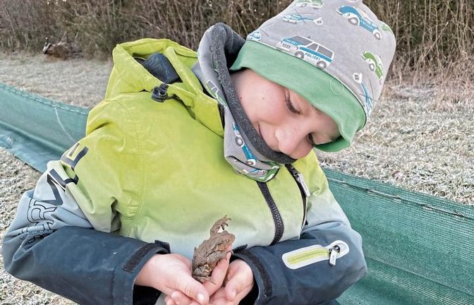 Der neunjährige Julian hilft Kröten über die Straße. Foto: p