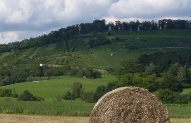 Lienzinger Weinberge mit Wiesen und Streuobstgebiet.  <span class='image-autor'>Foto: p</span>
