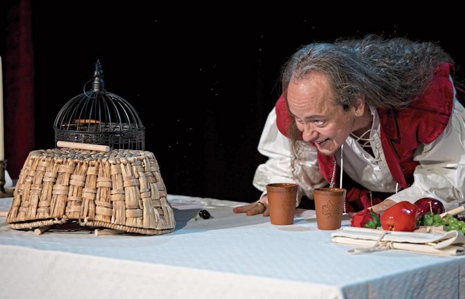 Gabriel Kunert erweckt Leonardo da Vinci zum Leben. Foto: Weiß