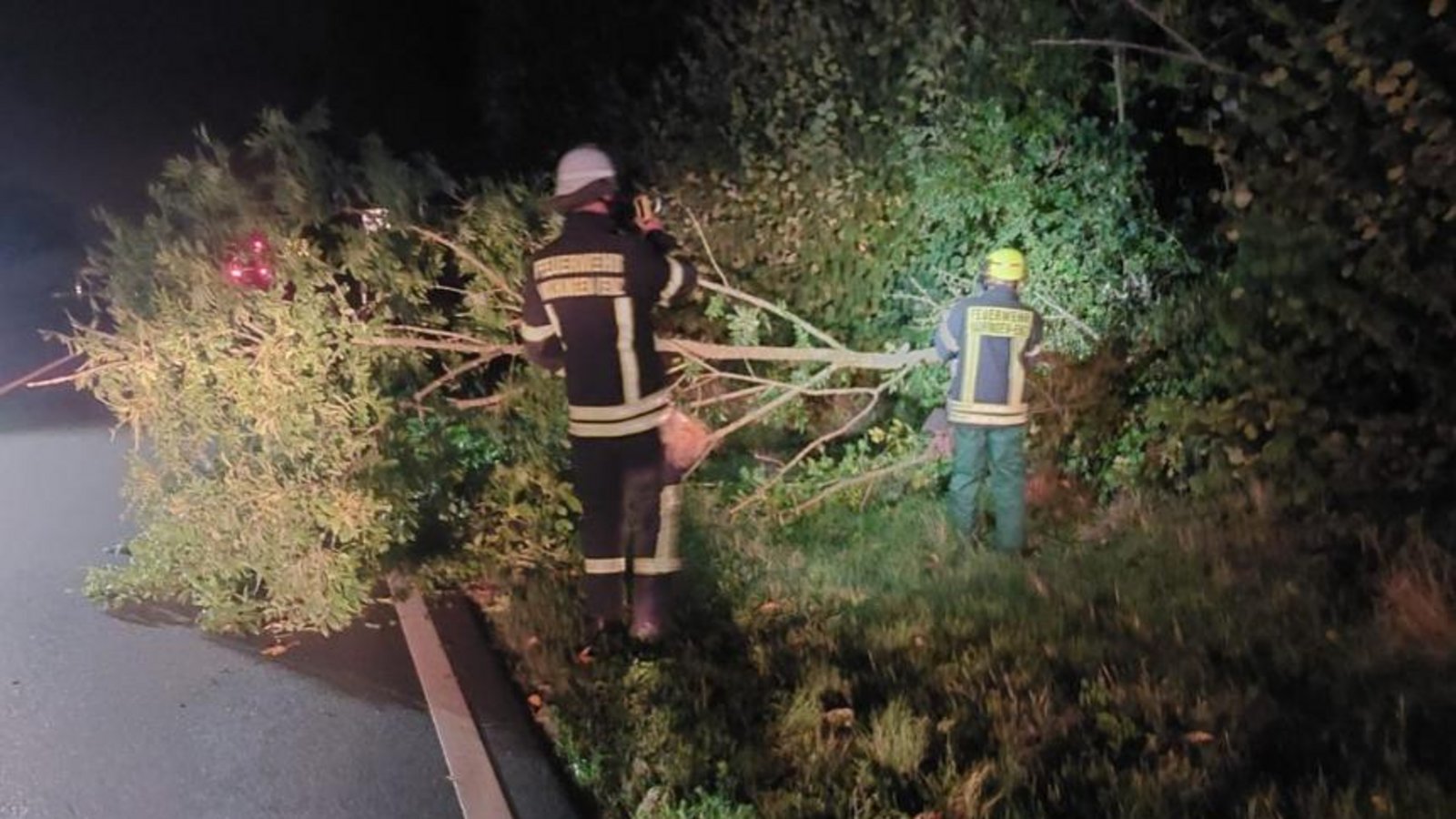 Feuerwehrleute aus Enzweihingen beseitigen Sturmholz auf der B 10. Feuerwehrleute aus Enzweihingen beseitigen Sturmholz auf der B 10.