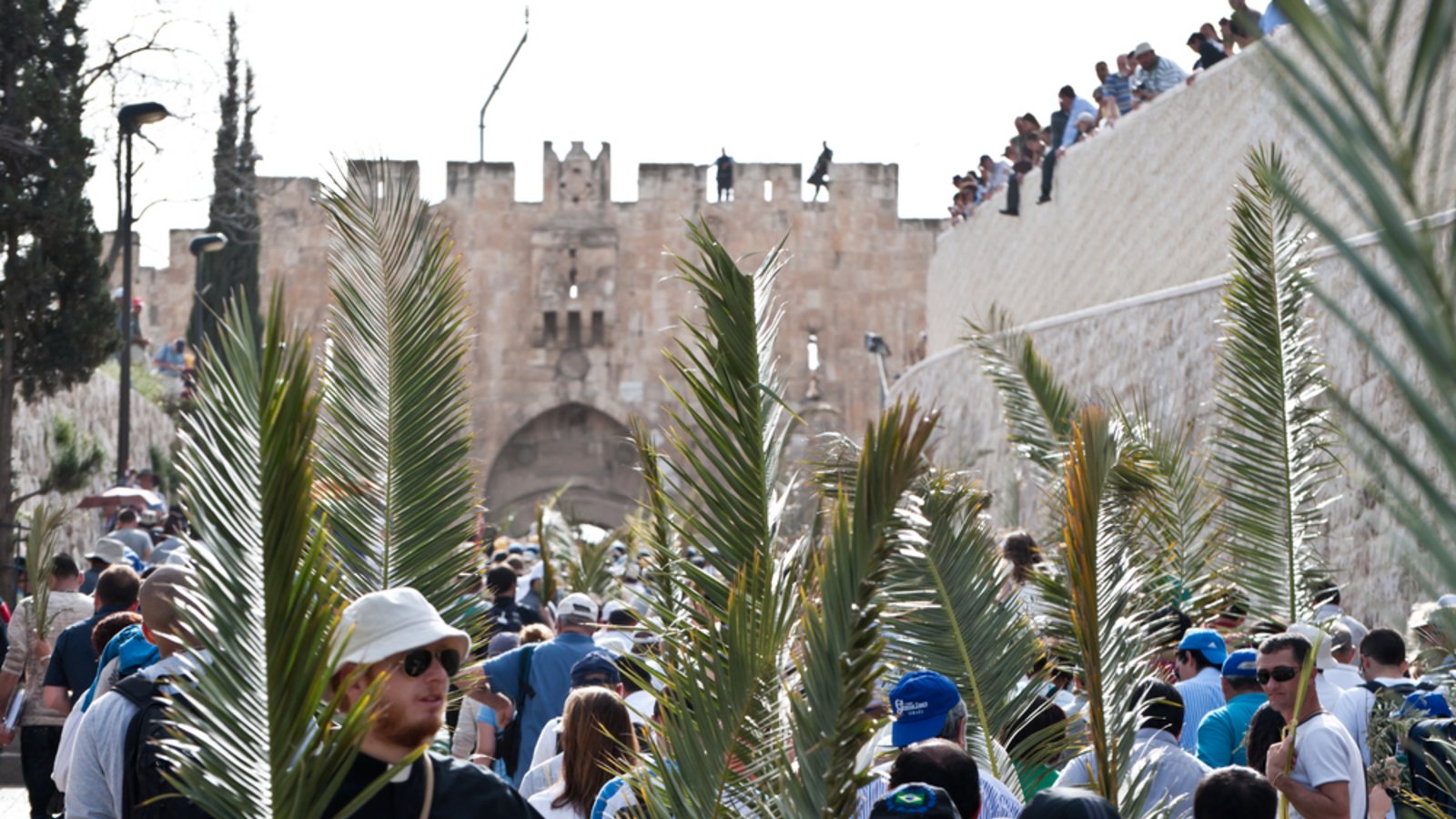 Menschen am Palmsonntag in Jerusalem (2011)Foto: Ryan Rodrick Beiler/Shutterstock