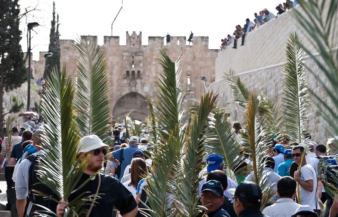 Menschen am Palmsonntag in Jerusalem (2011)<span class='image-autor'>Foto: Ryan Rodrick Beiler/Shutterstock</span>