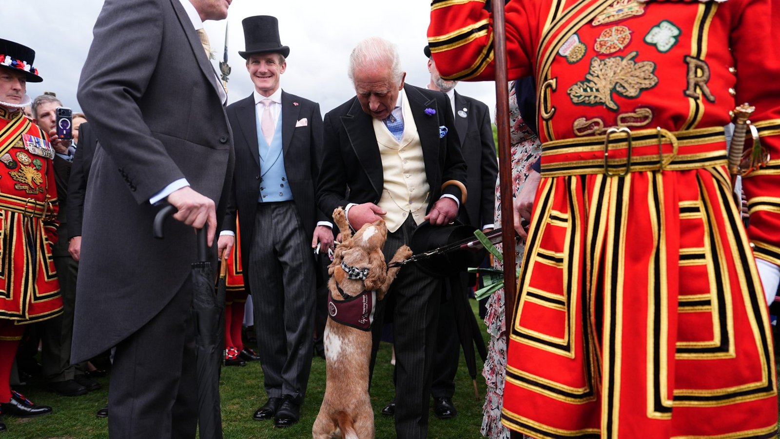 Der britische König Charles III. (M.) trifft während der jährlichen Gartenparty des britischen Königshauses im Buckingham Palace den Hörhund Vegas, der von der Wohltätigkeitsorganisation "Hearing Dogs for Deaf People" ausgebildet wurde.Foto: picture alliance/dpa/PA Wire | Aaron Chown