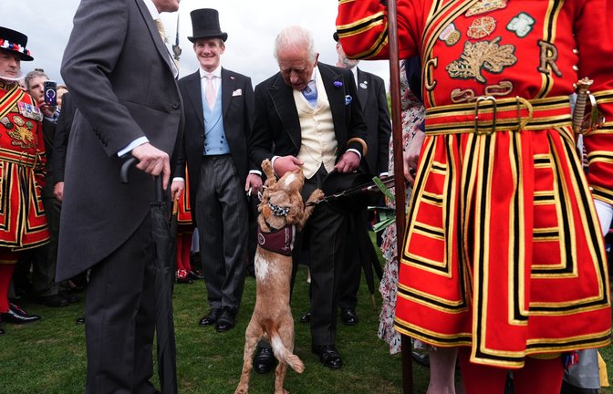 Der britische König Charles III. (M.) trifft während der jährlichen Gartenparty des britischen Königshauses im Buckingham Palace den Hörhund Vegas, der von der Wohltätigkeitsorganisation "Hearing Dogs for Deaf People" ausgebildet wurde.<span class='image-autor'>Foto: picture alliance/dpa/PA Wire | Aaron Chown</span>