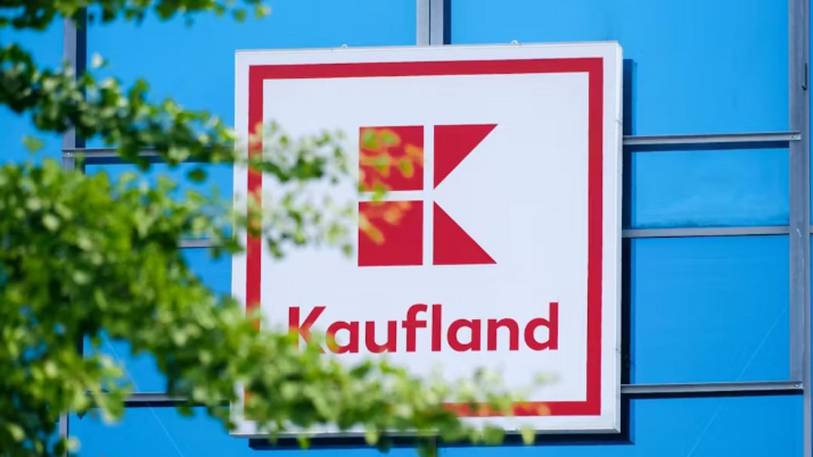 Das zurückgerufene Katzenfutter war im Kaufland erhältlich. (Symbolbild)Foto: imago stock&people Das zurückgerufene Katzenfutter war im Kaufland erhältlich. (Symbolbild)Foto: imago stock&people