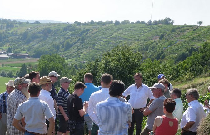 In den Weinbergen schildern die Teilnehmer ihre Sicht bei freiem Ausblick auf immer weiter zuwachsende Abschnitte. <span class='image-autor'>Fotos: Friedrich</span>