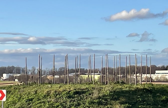Aktuell der Kreisel an der Kreisstraße oberhalb von Mühlhausen. <span class='image-autor'>Foto: Bächle</span>