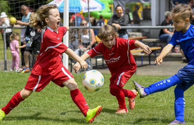 Beim Spieltag der F-Jugendlichen in Großglattbach geht es im Spiel der Gastgeber (in Rot) gegen den SV Illingen mächtig zur Sache. <span class='image-autor'>Foto: Leitner</span>