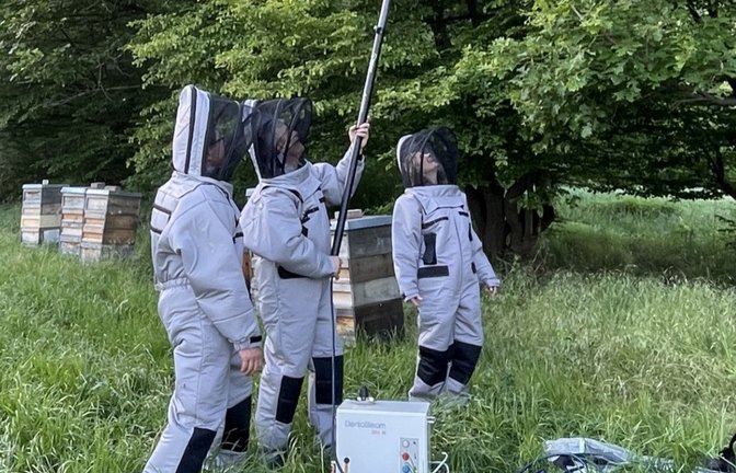 Mitglieder des Bezirksimkervereins Vaihingen mit Schutzausrüstung und einer langen Lanze, welche weit nach oben reicht, bei der Nestbekämpfung.
