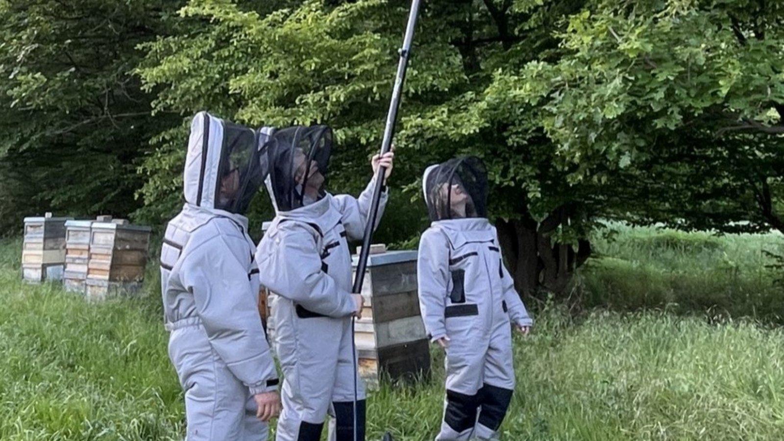 Mitglieder des Bezirksimkervereins Vaihingen mit Schutzausrüstung und einer langen Lanze, welche weit nach oben reicht, bei der Nestbekämpfung.