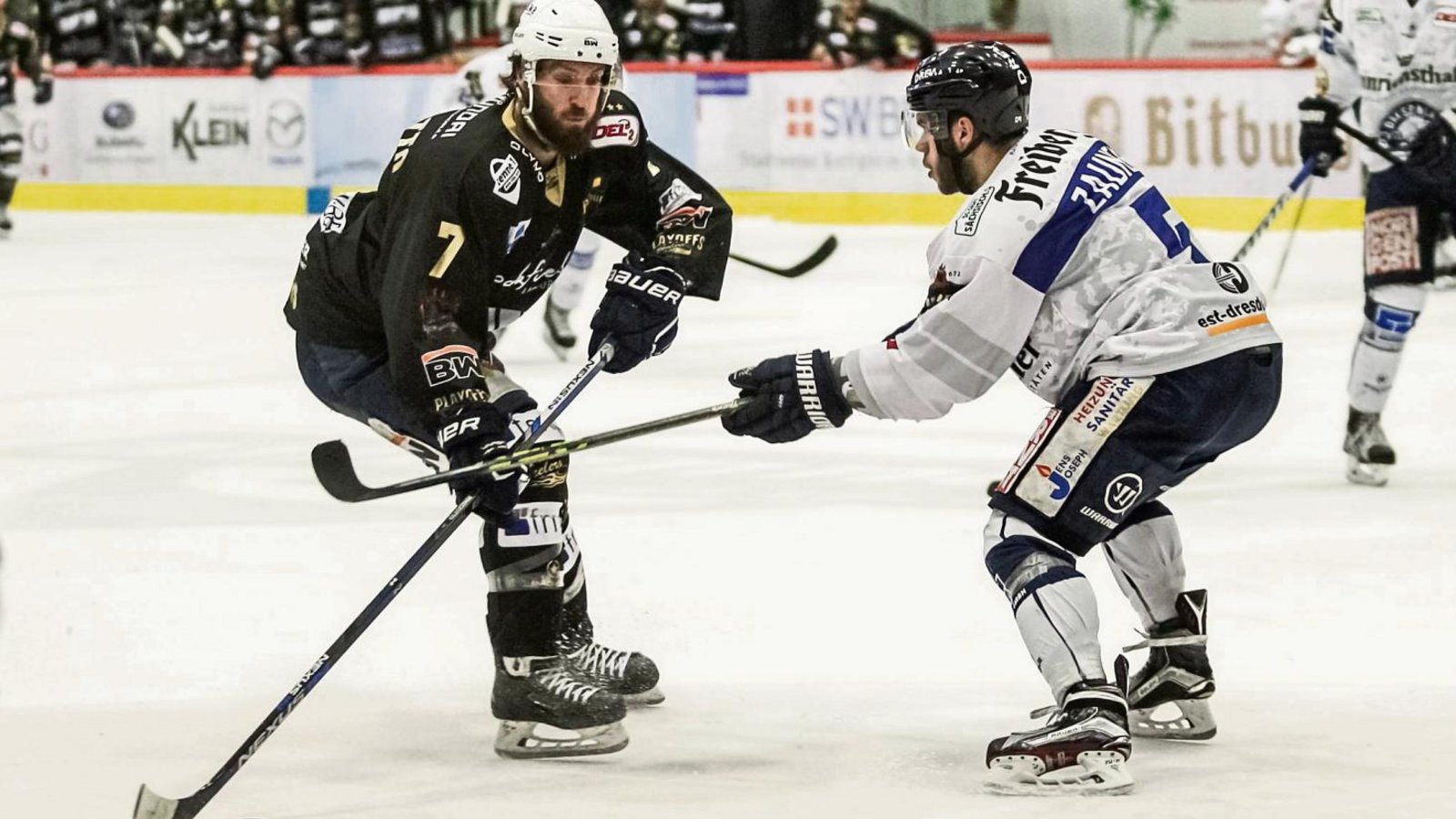 Jason Pinizzotto (links) und die Steelers haben den ersten Matchball noch nicht verwertet. Heute Abend haben sie aber die nächste Chance, den vierten Sieg gegen Dresden einzufahren Foto: Simecek