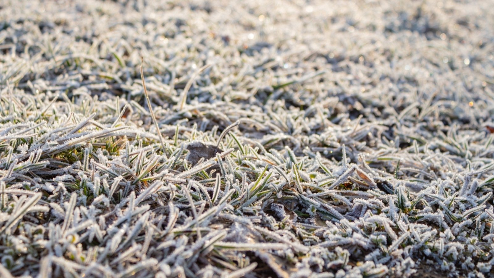 Es wird kalt in Baden-Württemberg.Foto: Kamrad71 / shutterstock.com Es wird kalt in Baden-Württemberg.Foto: Kamrad71 / shutterstock.com