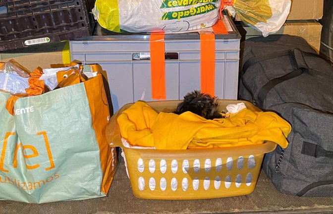 Die Zöllner fanden den Welpen in einem Wäschekorb am Ende der unbeheizten Ladefläche eines Kleintransporters.<span class='image-autor'>Foto: Hauptzollamt Singen</span>