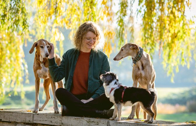 Hunde können uns glücklicher und entspannter machen.<span class='image-autor'>Foto: dpa/Silvana Kuhnert</span>