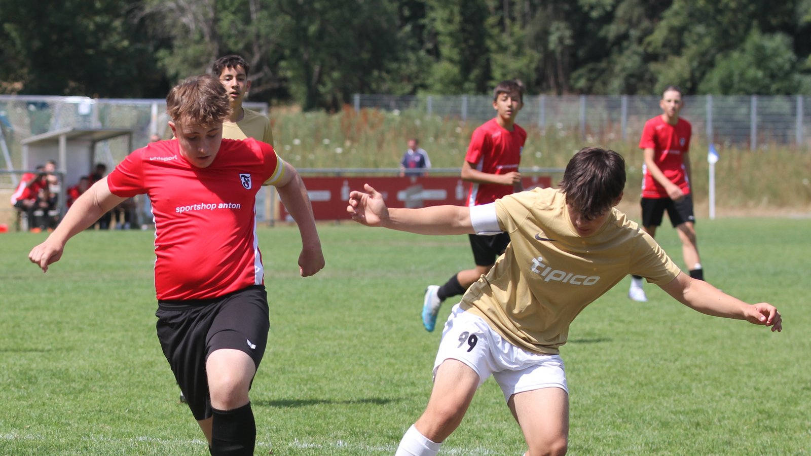 Vollen Einsatz haben die Nachwuchskicker der SG Vaihingen-Süd (goldene Trikots) beim 8. Enz-Cup im vergangenen Jahr gezeigt. Foto: Dittrich Vollen Einsatz haben die Nachwuchskicker der SG Vaihingen-Süd (goldene Trikots) beim 8. Enz-Cup im vergangenen Jahr gezeigt. Foto: Dittrich