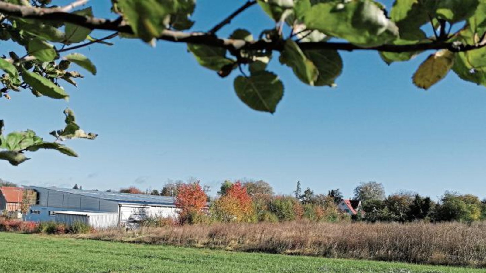 Hinter dem Netto in Hochdorf sollen Mehrfamilienhäuser entstehen. Foto: Banholzer Hinter dem Netto in Hochdorf sollen Mehrfamilienhäuser entstehen. Foto: Banholzer
