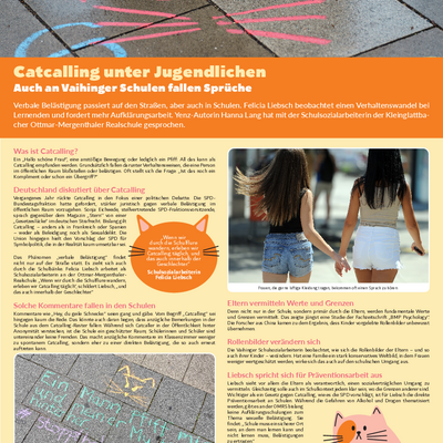 So sieht es in Sachen Catcalling an Vaihinger Schulen aus