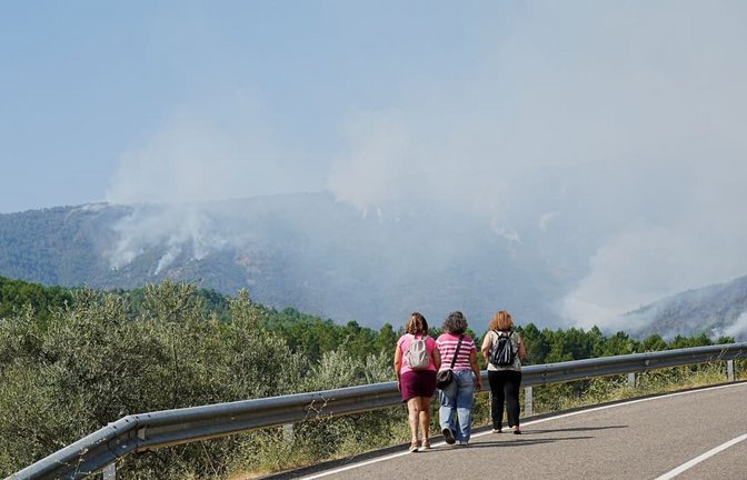 Rund 2.200 Hektar Pinienwald wurden verwüstet.<span class='image-autor'>Carlos Criado/EUROPA PRESS/dpa</span>