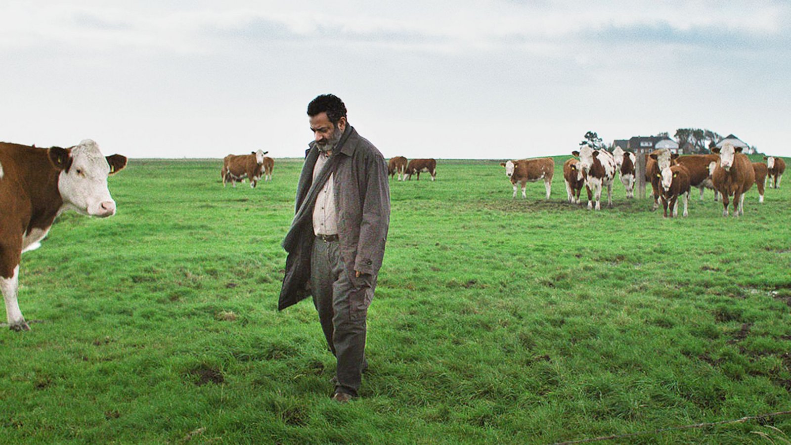 Draußen auf der Hallig verblenden sich Munirs (Georges Khabbaz) Traumbilder mit der windzerzausten Nordsee-Landschaft.Foto: Immergutefilme/dpa Draußen auf der Hallig verblenden sich Munirs (Georges Khabbaz) Traumbilder mit der windzerzausten Nordsee-Landschaft.Foto: Immergutefilme/dpa