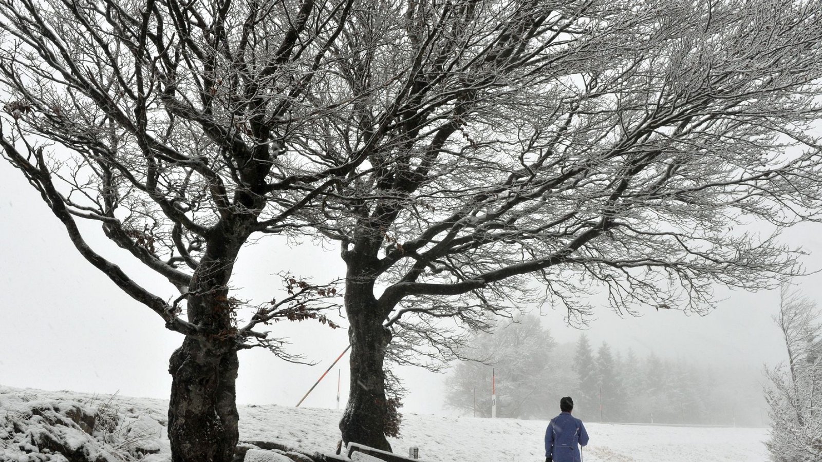 Schnee gab es in diesem Dezember schon. Doch hat der Winter bereits begonnen?Foto: dpa/A2070 Rolf Haid Schnee gab es in diesem Dezember schon. Doch hat der Winter bereits begonnen?Foto: dpa/A2070 Rolf Haid