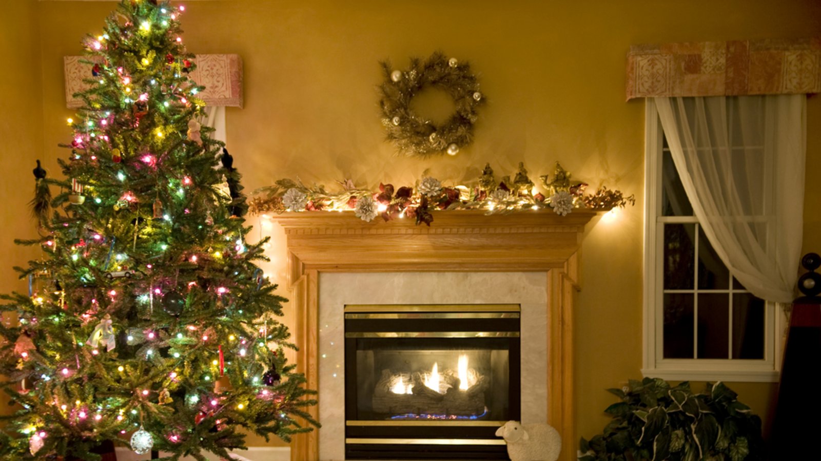Ab wann kann man den Weihnachtsbaum aufstellen?Foto: glenda / shutterstock.com Ab wann kann man den Weihnachtsbaum aufstellen?Foto: glenda / shutterstock.com
