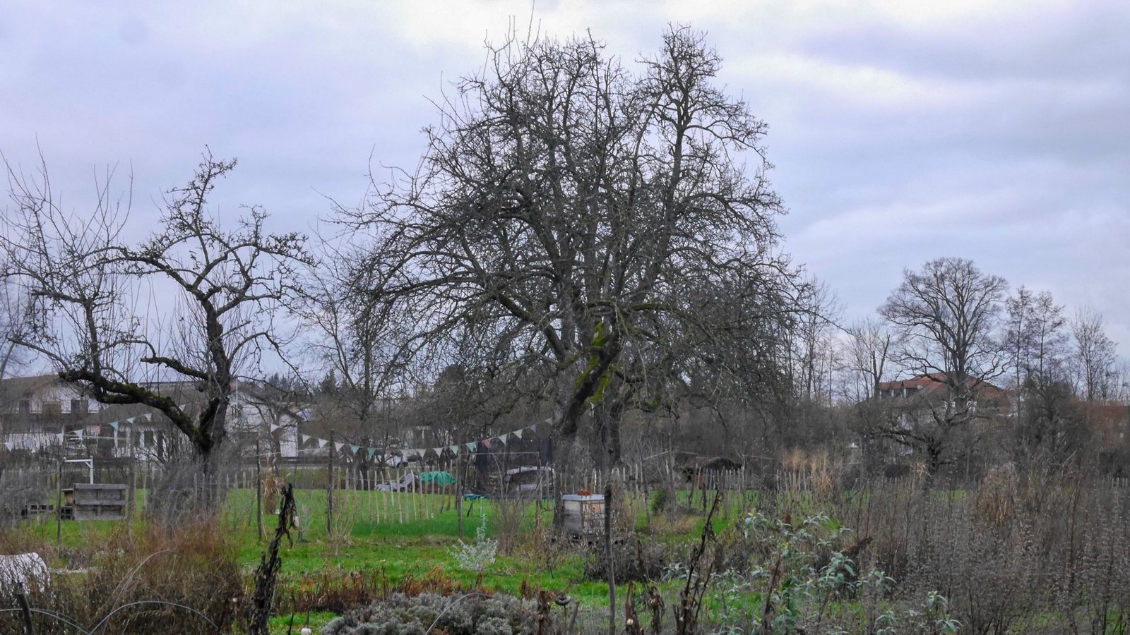 Caroline Wolf bietet in ihrem Garten auch Lebensraum für Tiere. Vergangenen Sommer hat sie 22 Vogelarten gezählt und auch ein Bienenvolk lebt auf dem Grundstück.Foto: Anna-Sophie Kächele Caroline Wolf bietet in ihrem Garten auch Lebensraum für Tiere. Vergangenen Sommer hat sie 22 Vogelarten gezählt und auch ein Bienenvolk lebt auf dem Grundstück.Foto: Anna-Sophie Kächele