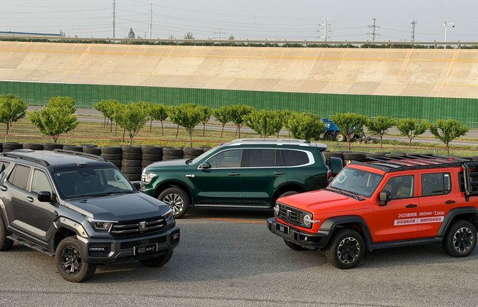 Zum Jahreswechsel sollen die Modelle Tank 300, Tank 400 und Tank 500 auf den Markt kommen.<span class='image-autor'>Foto: Thomas Geiger/dpa-tmn/Thomas Geiger</span>