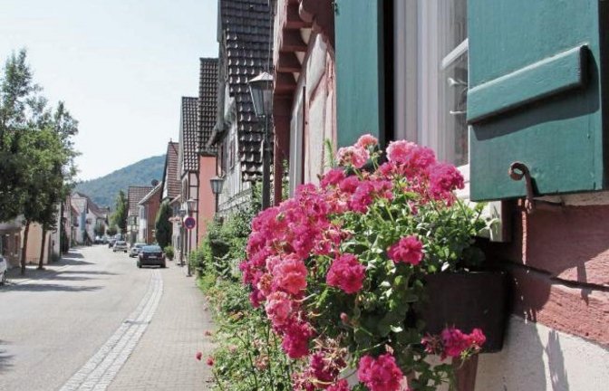 Klein, aber fein: Sommeridylle in Ochsenbach. Foto: Rieger
