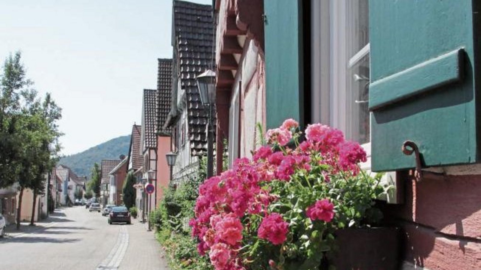 Klein, aber fein: Sommeridylle in Ochsenbach. Foto: Rieger