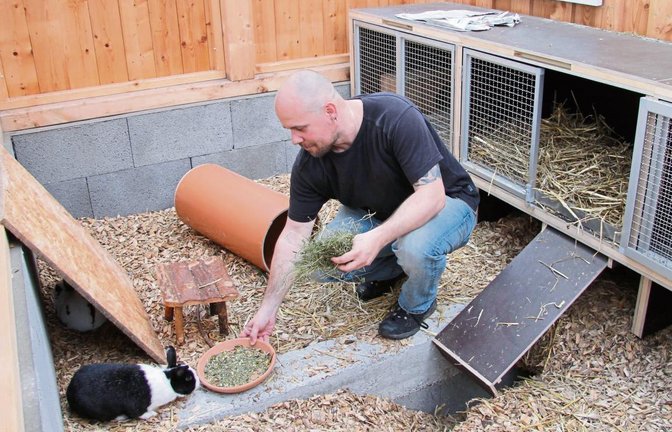 VKZ-Redakteur Michael Banholzer bei der Fütterung von Mickey und Mona, die sich gerade links unter dem Brett versteckt.  Foto: Lessel