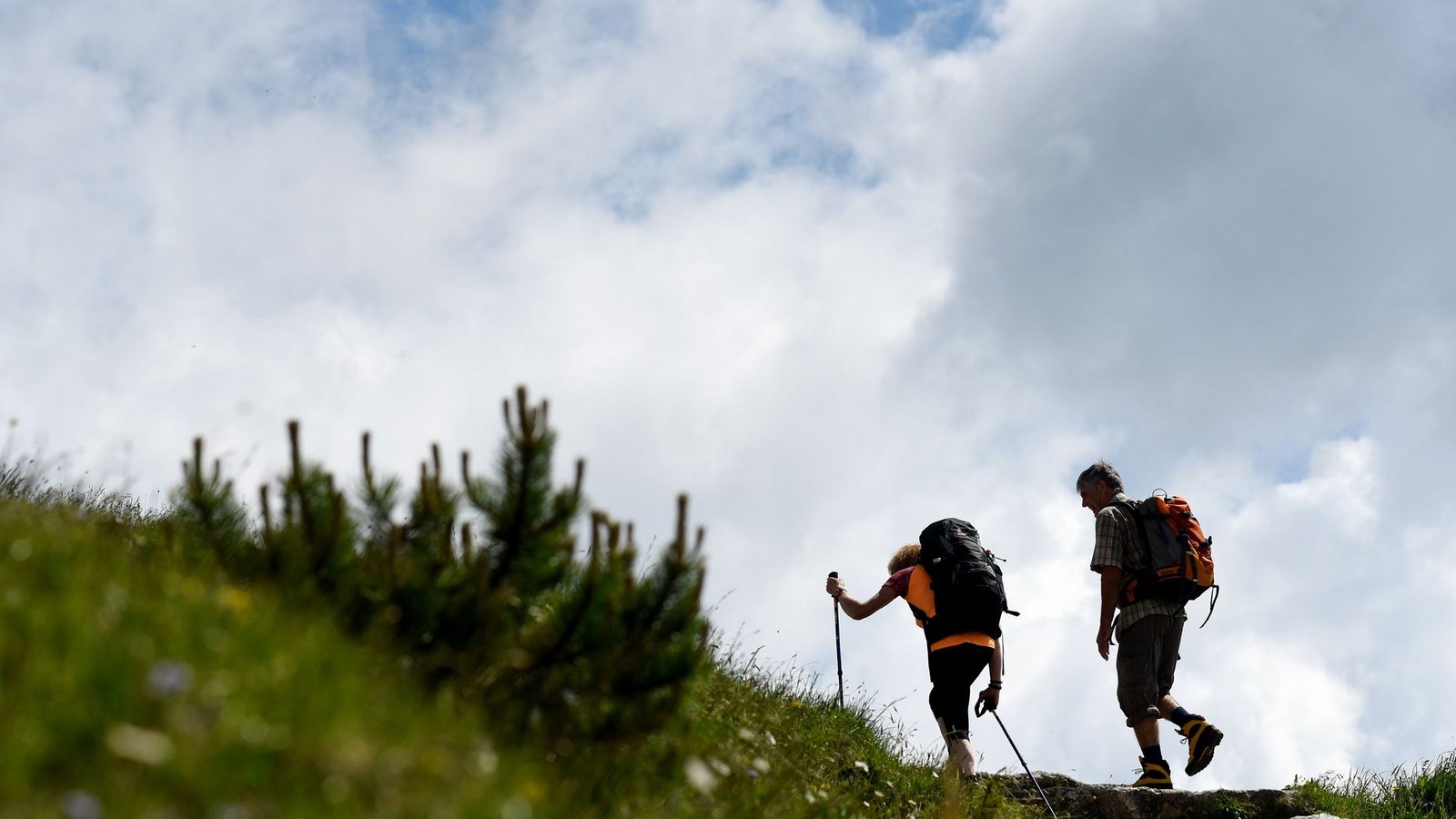 Viele Bergtouren werden im Klimawandel unberechenbarerFoto: picture alliance / Angelika Warmuth/dpa Viele Bergtouren werden im Klimawandel unberechenbarerFoto: picture alliance / Angelika Warmuth/dpa