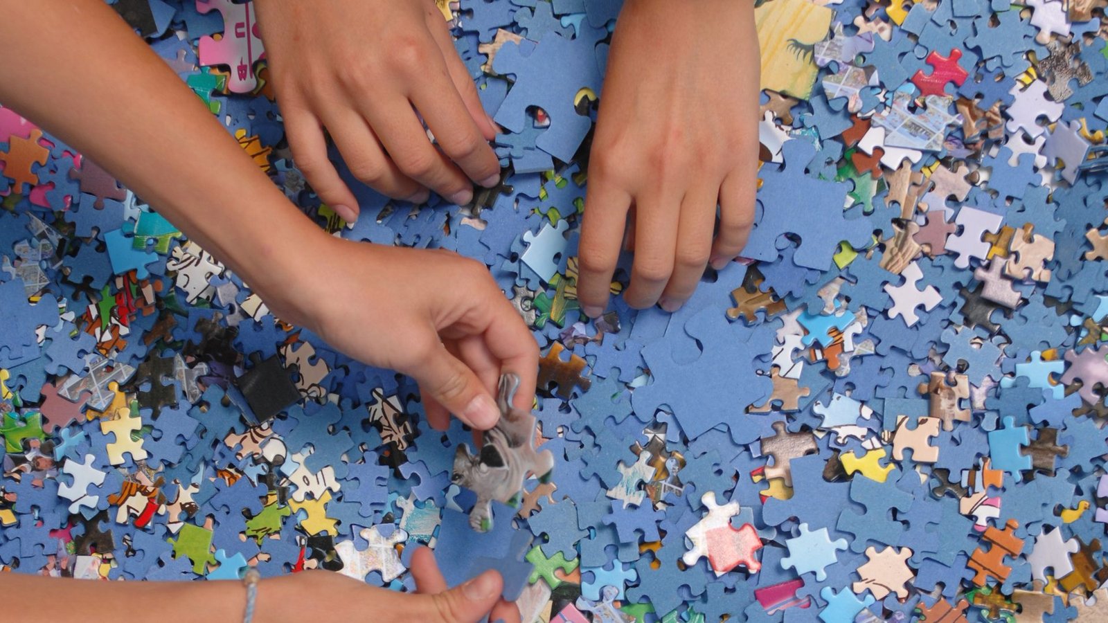 In den USA und Kanada konnte Ravensburger im Puzzlegeschäft Marktanteile gewinnen.Foto: Ravensburger