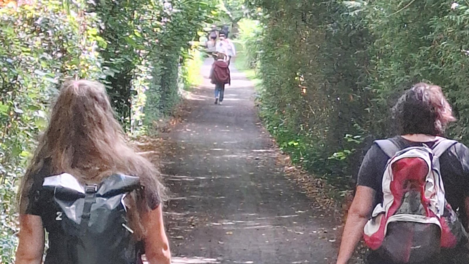 Auf dem Enztalradweg in Richtung Ziel.