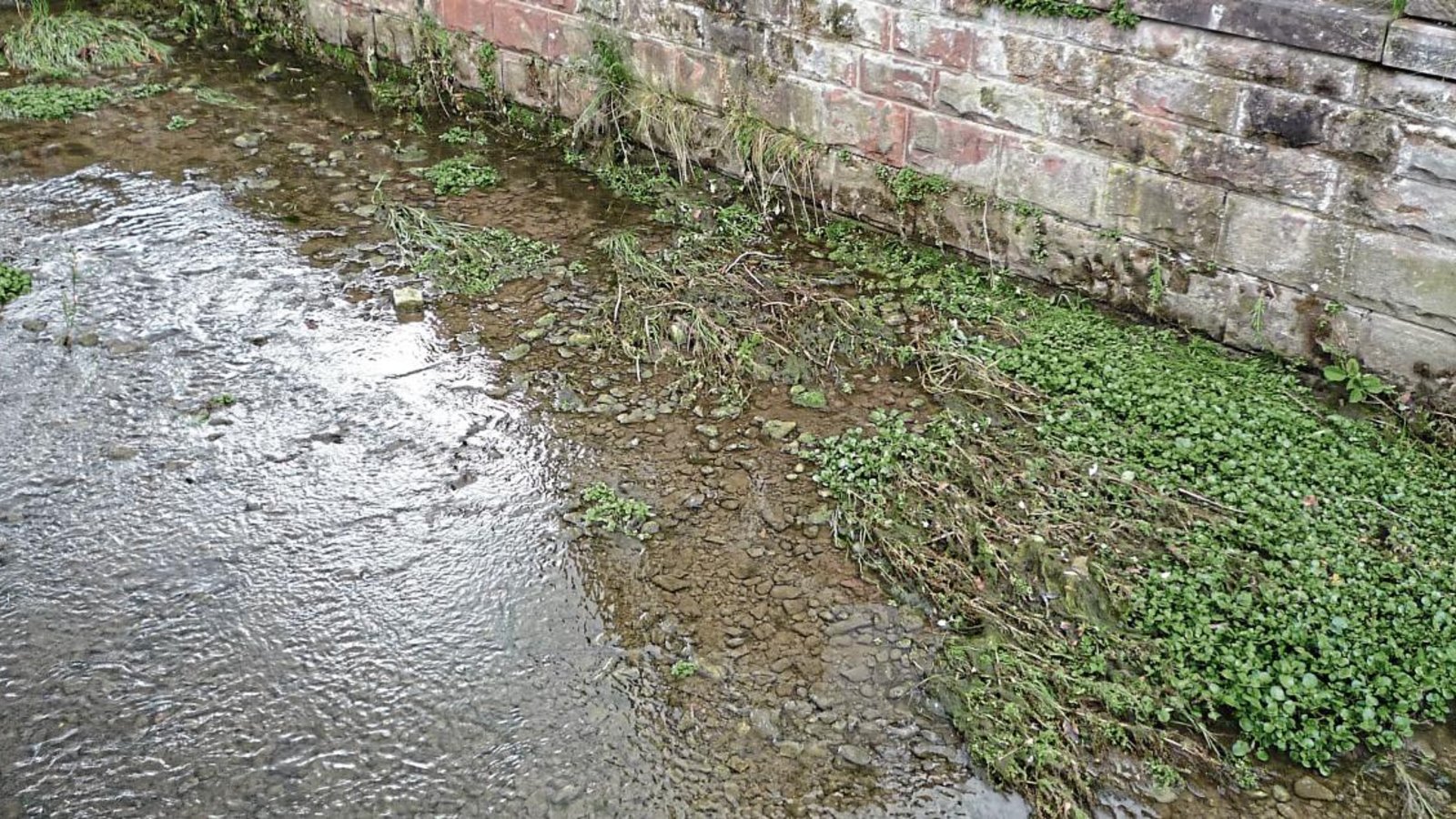 Der Wasserstand ist fast wieder so niedrig wie vor den Niederschlägen am Wochenende. Foto: LE Der Wasserstand ist fast wieder so niedrig wie vor den Niederschlägen am Wochenende. Foto: LE