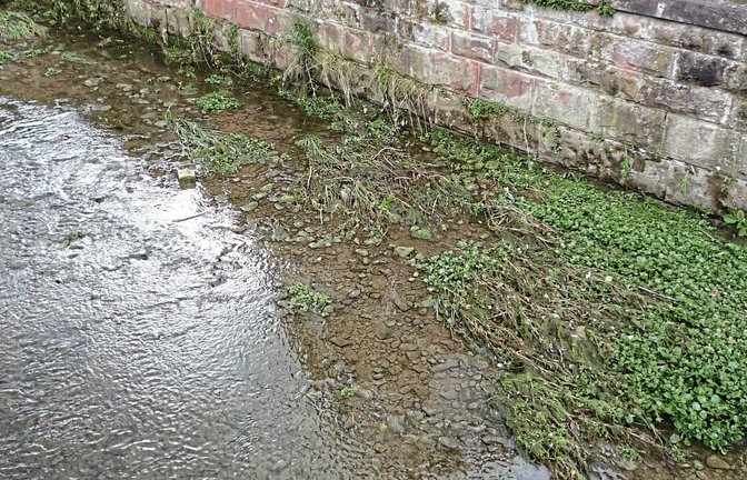 Der Wasserstand ist fast wieder so niedrig wie vor den Niederschlägen am Wochenende.  Foto: LE