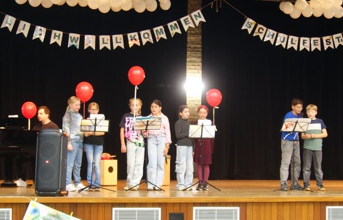 Musikalisches beim Schulfest. <span class='image-autor'>Foto: p</span>