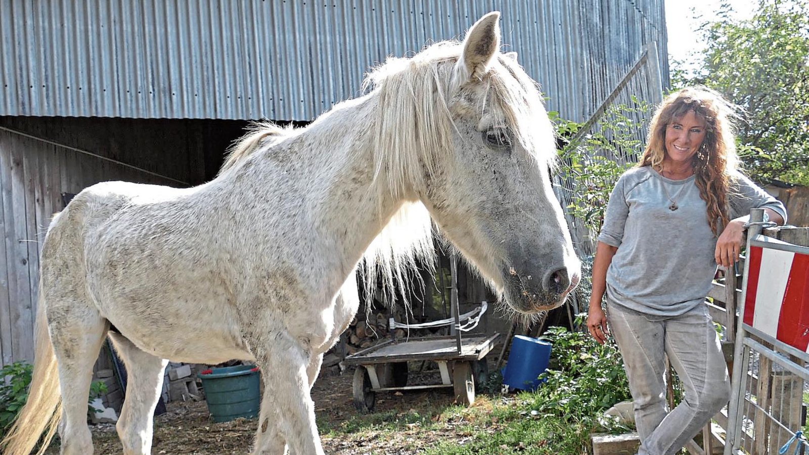 Mehr lebender Beweis geht nicht: Stute Donata, die zweimal aus Not gerettet wurde, ist inzwischen 42 Jahre alt und Felicia Ruhlands erklärter Liebling. Foto: Roth Mehr lebender Beweis geht nicht: Stute Donata, die zweimal aus Not gerettet wurde, ist inzwischen 42 Jahre alt und Felicia Ruhlands erklärter Liebling. Foto: Roth