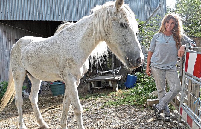 Mehr lebender Beweis geht nicht: Stute Donata, die zweimal aus Not gerettet wurde, ist inzwischen 42 Jahre alt und Felicia Ruhlands erklärter Liebling. Foto: Roth
