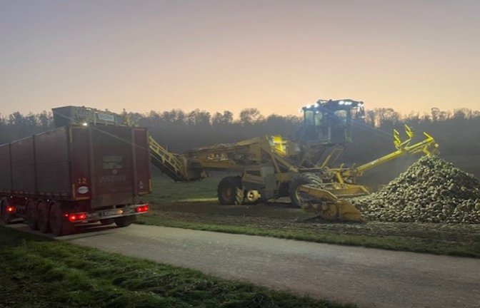 Eine sogenannte Verlademaus bei der Arbeit im abendlichen Dämmerlicht: Die Zuckerrüben vom Vaihinger Enzfeld werden per Lastwagen in die Südzucker-Zuckerfabrik nach Offenau transportiert, schreibt Andreas Knodel zu seinem stimmungsvollen Foto.