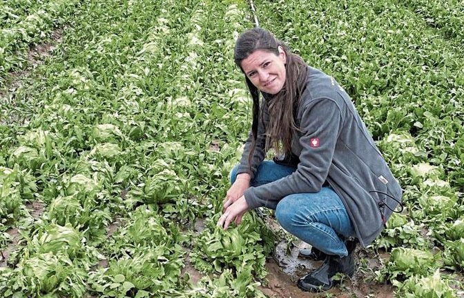 Tabea Sanzio auf dem vom Hagel verwüsteten Salatfeld in Eberdingen.  Fotos: Stogios