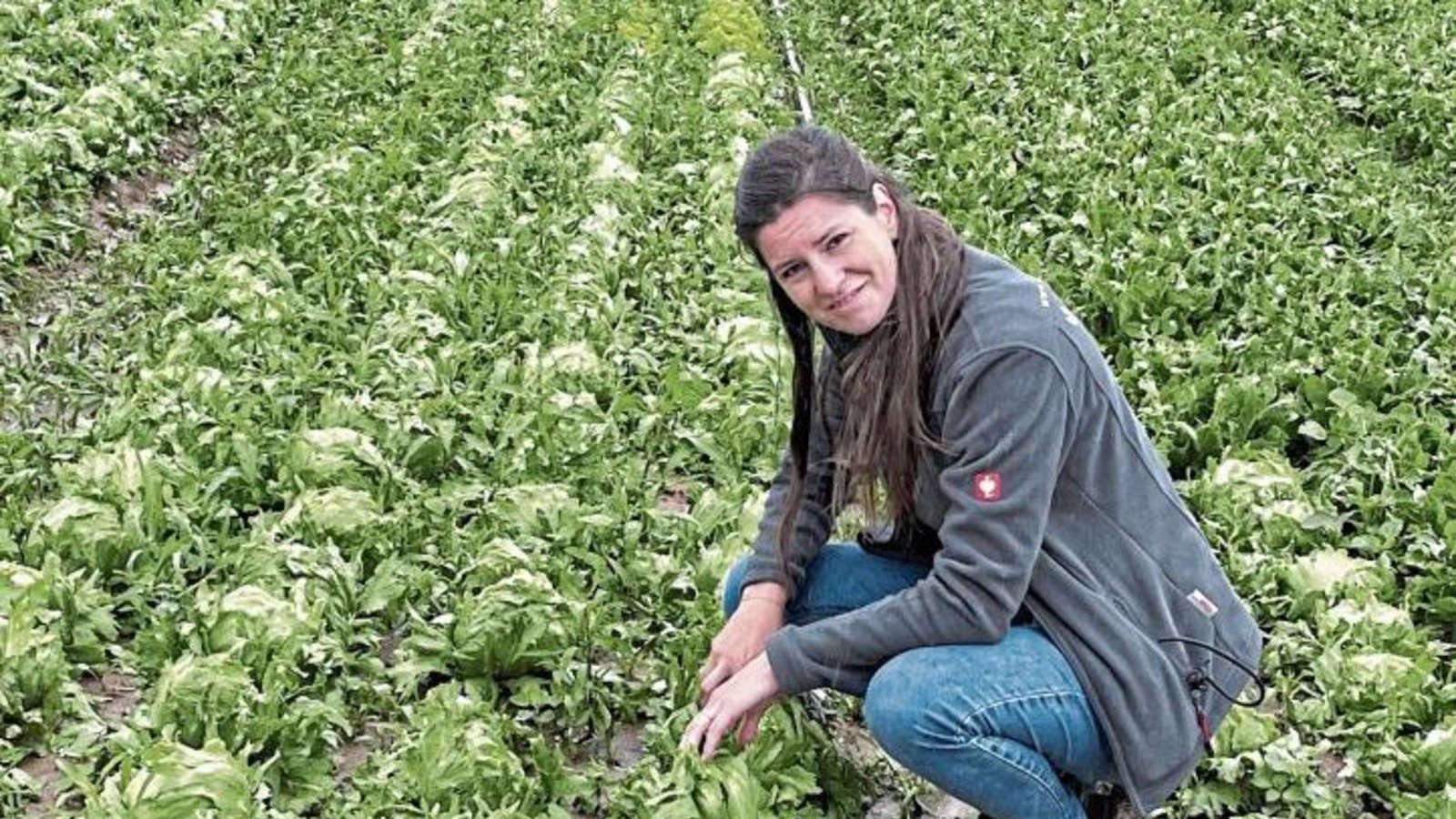 Tabea Sanzio auf dem vom Hagel verwüsteten Salatfeld in Eberdingen. Fotos: Stogios Tabea Sanzio auf dem vom Hagel verwüsteten Salatfeld in Eberdingen. Fotos: Stogios
