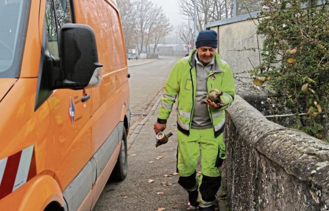Gartenwasserleitungen frostsicher machen nicht vergessen! Hier sind Mitarbeiter vom Städtischen Versorgungsbetrieb im Egelsee damit beschäftigt.  Foto: Rücker