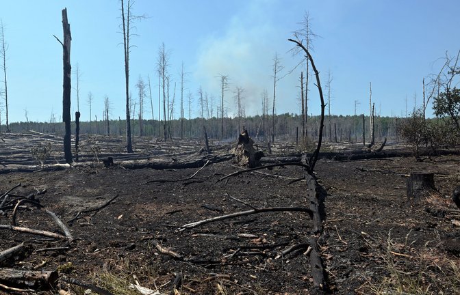 Verbrannter Wald bei Jüterbog. Der Waldbrand in dem ehemaligen Truppenübungsgebiet dort ist immer noch nicht gelöscht.<span class='image-autor'>Foto: Michael Bahlo/dpa/Michael Bahlo</span>