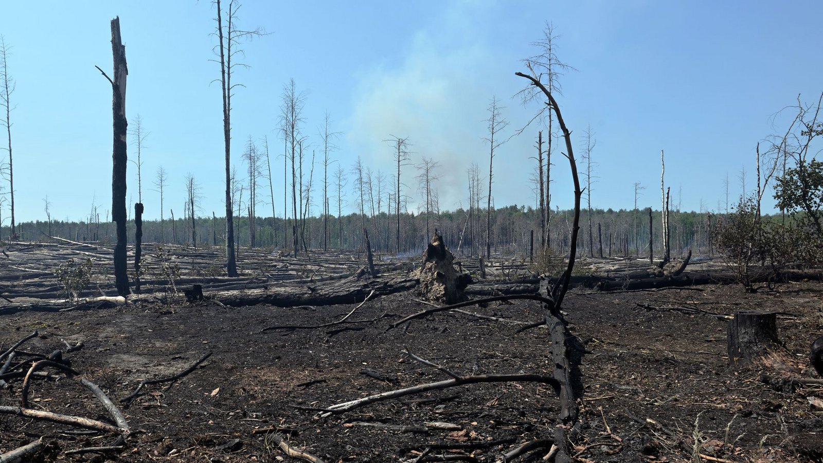 Verbrannter Wald bei Jüterbog. Der Waldbrand in dem ehemaligen Truppenübungsgebiet dort ist immer noch nicht gelöscht.Foto: Michael Bahlo/dpa/Michael Bahlo Verbrannter Wald bei Jüterbog. Der Waldbrand in dem ehemaligen Truppenübungsgebiet dort ist immer noch nicht gelöscht.Foto: Michael Bahlo/dpa/Michael Bahlo
