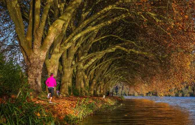 Der Herbst ist einer der schönsten Jahreszeiten, um lange Spaziergänge zu machen – oder joggen zu gehen.<span class='image-autor'>Foto: imago images/Rupert Oberhäuser/Rupert Oberhäuser via www.imago-images.de</span>