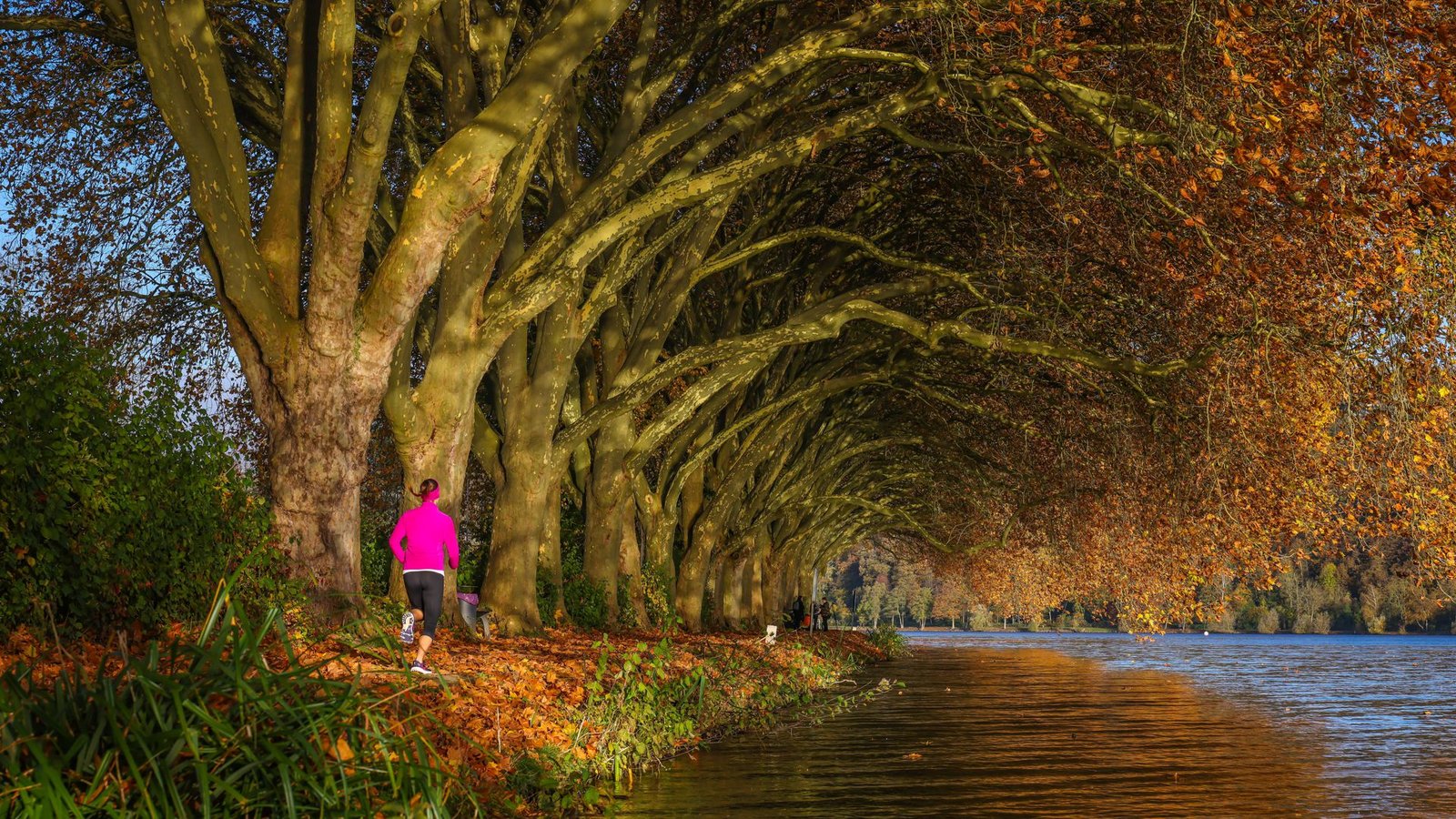 Der Herbst ist einer der schönsten Jahreszeiten, um lange Spaziergänge zu machen – oder joggen zu gehen.Foto: imago images/Rupert Oberhäuser/Rupert Oberhäuser via www.imago-images.de Der Herbst ist einer der schönsten Jahreszeiten, um lange Spaziergänge zu machen – oder joggen zu gehen.Foto: imago images/Rupert Oberhäuser/Rupert Oberhäuser via www.imago-images.de