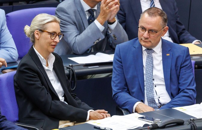 Die Partei von Alice Weidel und Tino Chrupalla hat die Union überholt. (Archivbild)<span class='image-autor'>Foto: IMAGO/Andreas Gora</span>