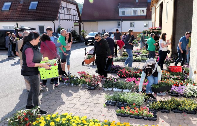 Reger Andrang am Morgen. Bei so viel Blütenpracht fällt die Auswahl nicht leicht.  <span class='image-autor'>Fotos: Gergen</span>